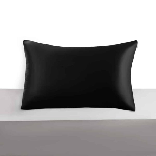Mulberry Silk Pillowcase with Zipper, 22 Momme, 50×60